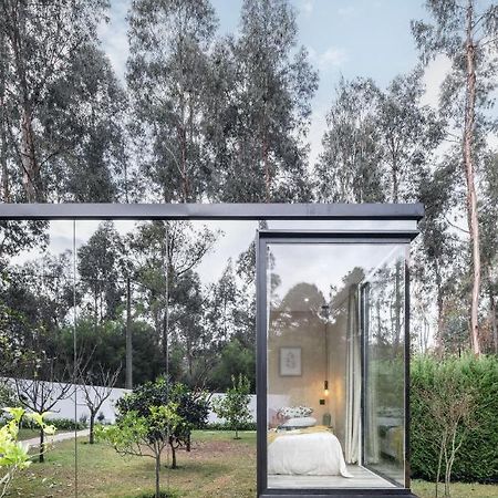 Villa No Jardim Dos Aromas Gião Exterior foto